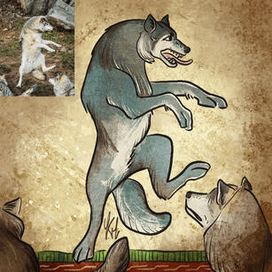 Med wolf